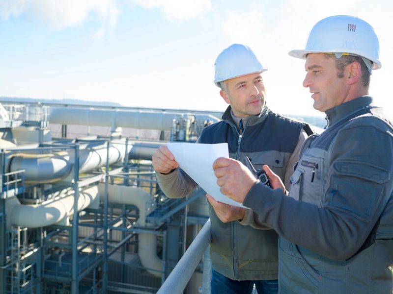 עמוד הבית 11